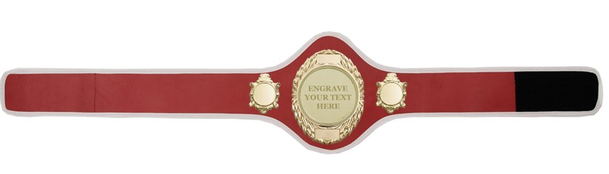 CHAMPIONSHIP BELT PRO286/G/ENGRAVE/G - AVAILABLE IN 10+ COLOURS